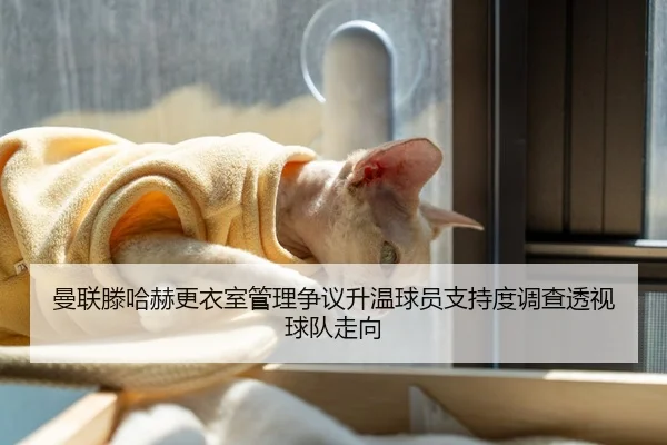曼联滕哈赫更衣室管理争议升温球员支持度调查透视球队走向